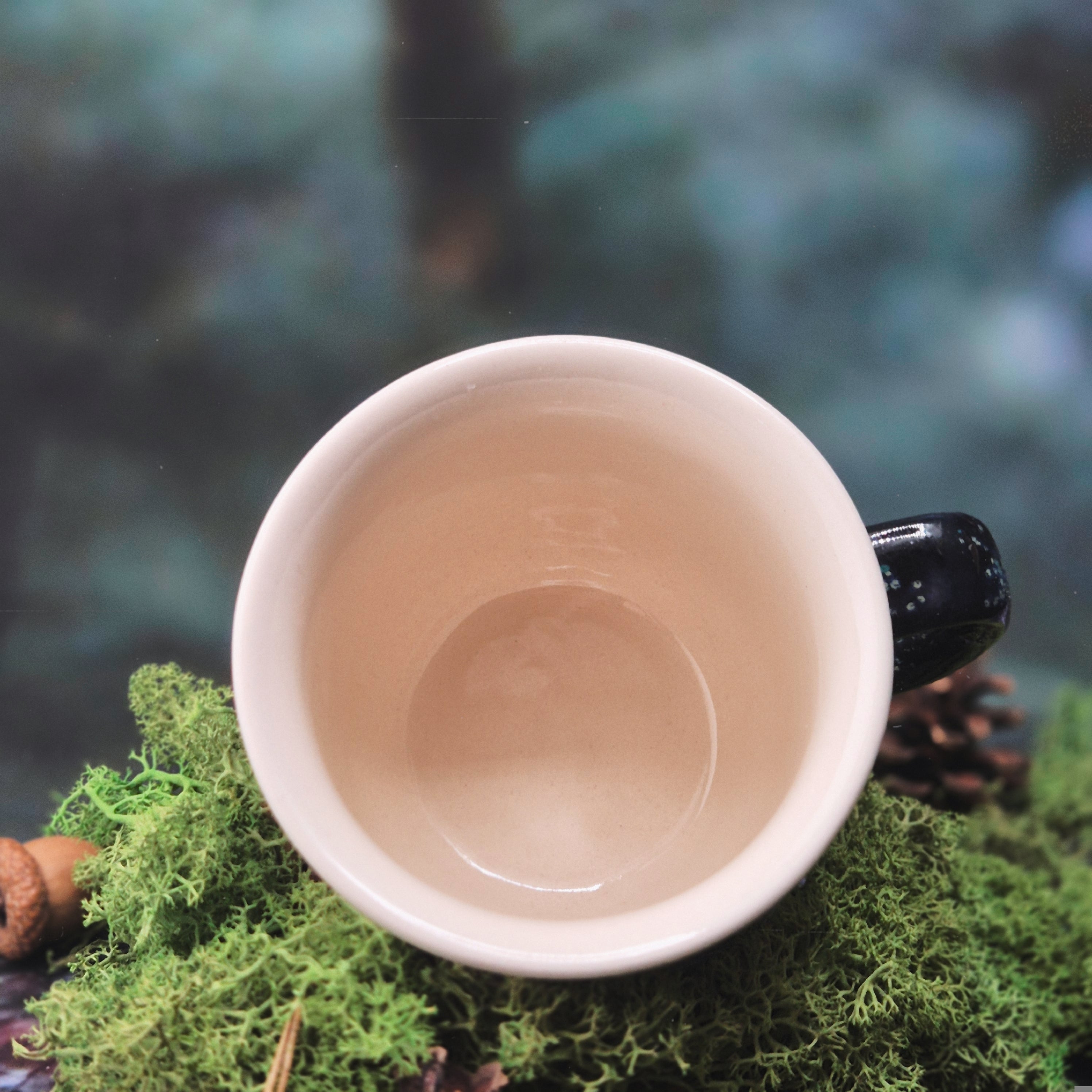 Snail mug 280 ml 🐌